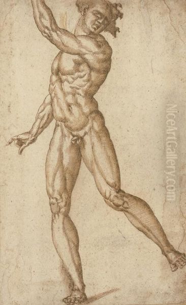 A Standing Male Nude With His Left Arm Raised Oil Painting by Baccio Bandinelli