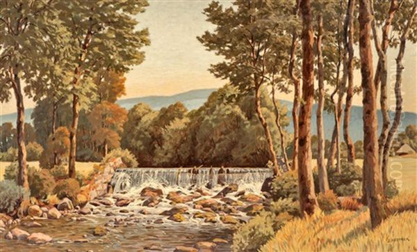 Stream Water With Birch Trees by Julius Heffner