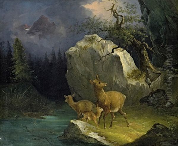 Rehe Am Gebirgsbach Oil Painting by Joseph Heicke