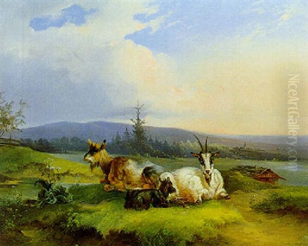 Ziegen Auf Der Weide Oil Painting by Joseph Heicke