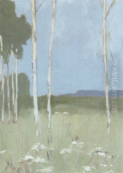 Landschaft Mit Birken Oil Painting by Hans Von Heider