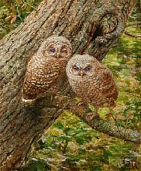 Two Owls Sitting On A Branch Oil Painting by Gerhard Heilmann