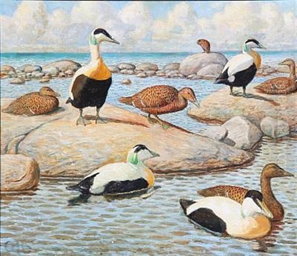 Coastal Scene With Eiders Oil Painting by Gerhard Heilmann