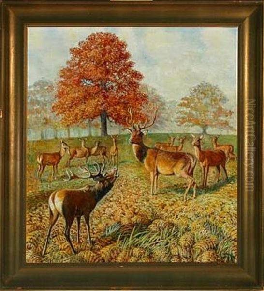 Red Deer In A Forest Oil Painting by Gerhard Heilmann