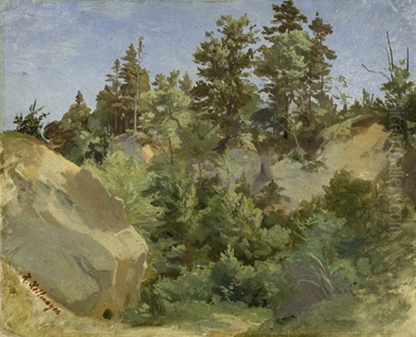 Sonnenbeschienene Felsschlucht Mit Tannen Und Laubbaumen Oil Painting by Karl Heilmayer