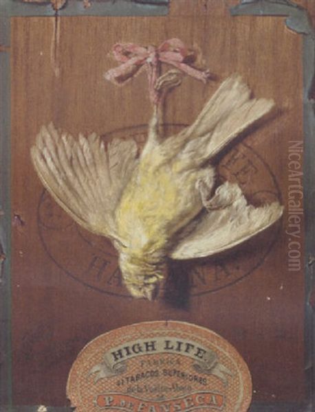 A Hanging Bird On The Lid Of A Cigar Box Oil Painting by Friedrich Heimerdinger