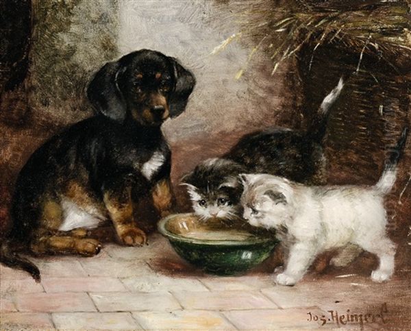 Zwei Katzchen Und Ein Welpe by Josef Heimerl