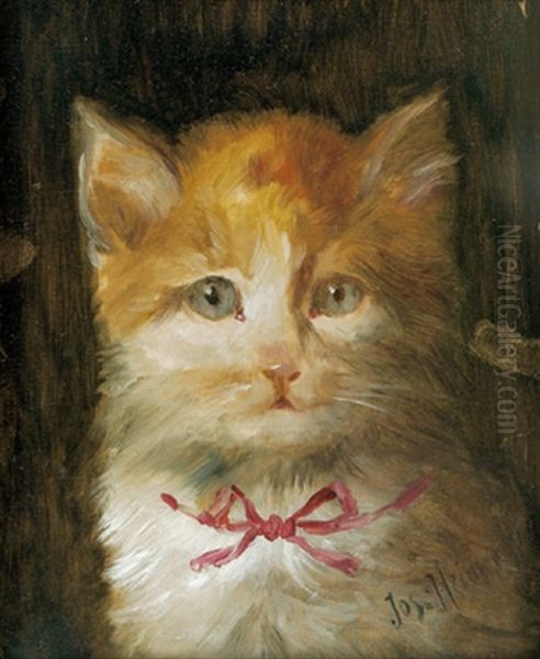 Katze Mit Rotem Mascherl Oil Painting by Josef Heimerl