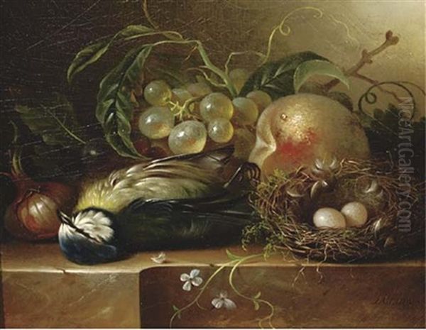 Fruit And A Bird's Nest On A Ledge Oil Painting by Hendrik Jan Hein