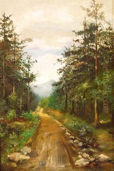 Waldweg Gesaumt Von Kiefern Oil Painting by Eduard Heinel