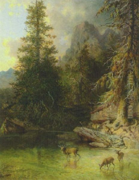 Hirsch Und Hirschkuhe An Der Tranke An Einem Teich Im Gebirge Oil Painting by Heinrich Heinlein