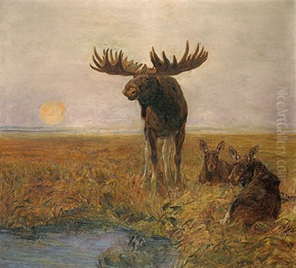 Elch Mit Ruhenden Elchkuhen In Nordischer Landschaft by Max Hein-Neufeldt