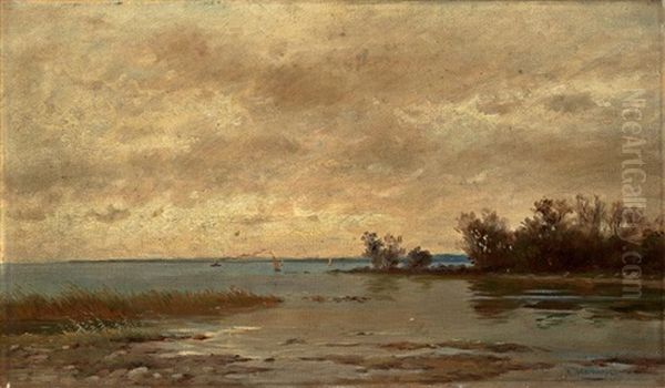 Landschaft Am Bodensee? Oil Painting by Paul Heitinger