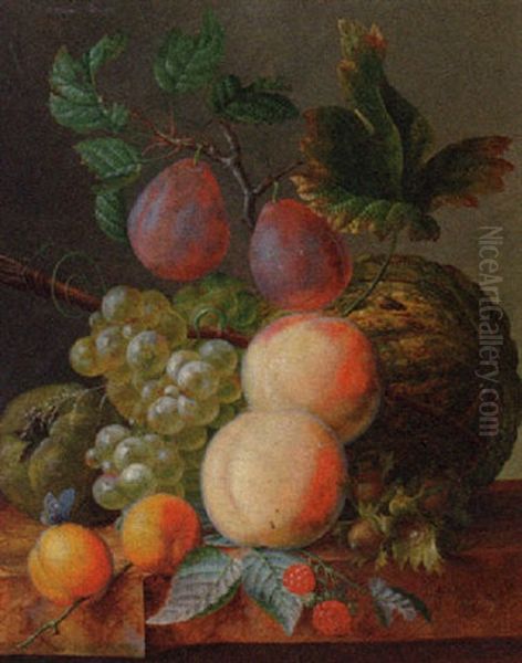 Peaches, Plums, Grapes, Apricots, Raspberries, An Apple And A Melon On A Ledge Oil Painting by Willem Hekking