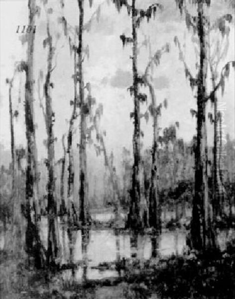 Louisiana Cypress Swamp by Knute Heldner