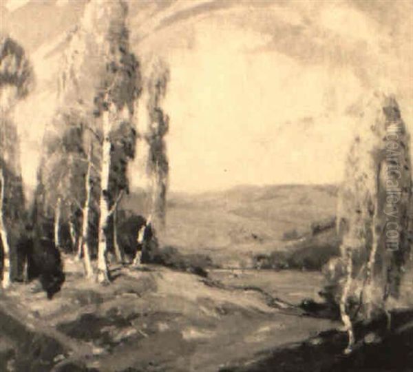 Birch Trees In An Autumn Landscape by Knute Heldner