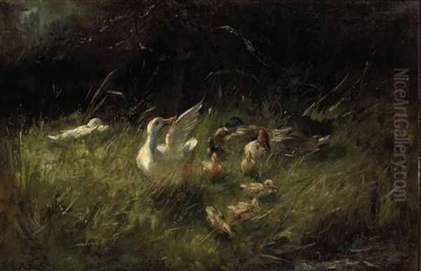 Ducks And Ducklings In The Grass Oil Painting by Franciscus Willem Helfferich