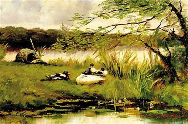 Duck On Shore Oil Painting by Franciscus Willem Helfferich