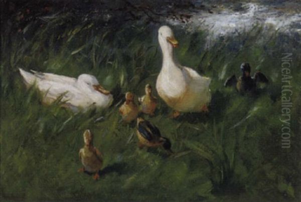 Happy Ducks Oil Painting by Franciscus Willem Helfferich