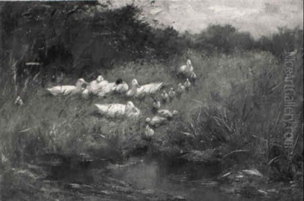 Ducks Along A Ditch Oil Painting by Franciscus Willem Helfferich