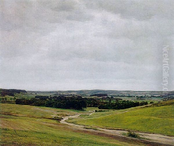 Hugelige Landschaft In Preusen Oil Painting by Willy Ter Hell