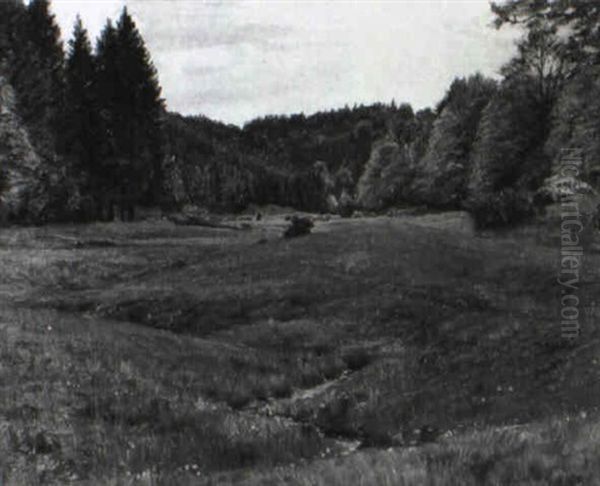 Hugelige Waldlandschaft Mit Groser Wiese Und B,chlein Oil Painting by Willy Ter Hell