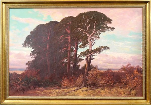 Markische Landschaft Mit Kiefern In Der Abendrote Oil Painting by Rudolf Hellgrewe