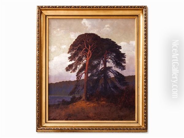 Trees In The Sunset Oil Painting by Rudolf Hellgrewe