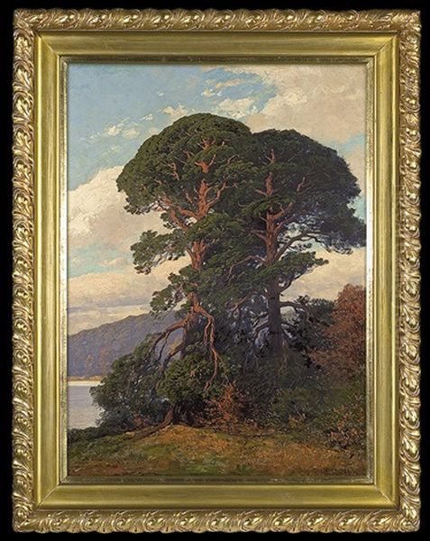 Pines By The Lake Oil Painting by Rudolf Hellgrewe