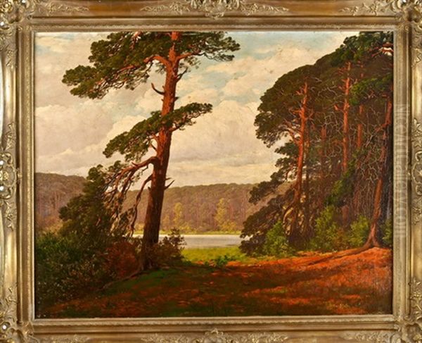 Markische Landschaft Mit See Oil Painting by Rudolf Hellgrewe