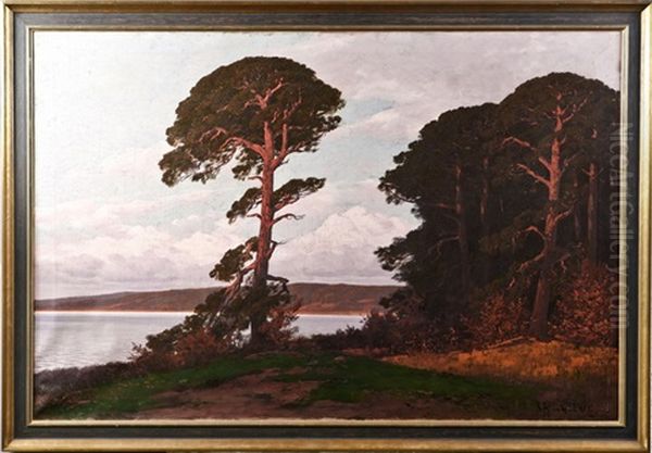 Stimmungsvolle Markische Landschaft Bei Untergehender Sonne Oil Painting by Rudolf Hellgrewe