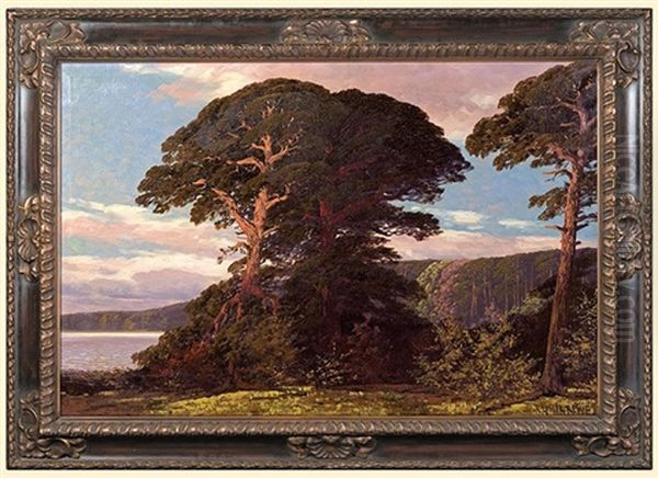 Pine Trees At A Lake Oil Painting by Rudolf Hellgrewe