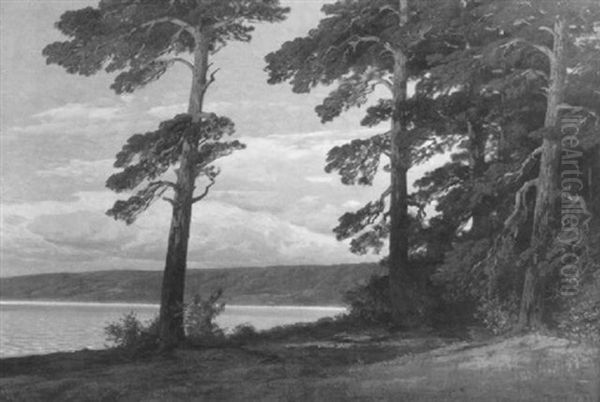 Pine Trees By A Lake At Sunset Oil Painting by Rudolf Hellgrewe