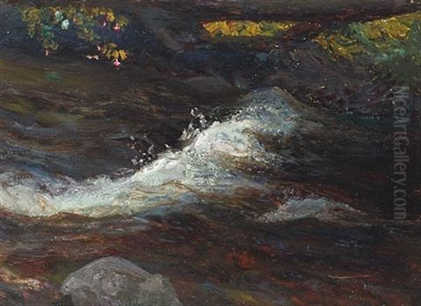 Rapids On A River Oil Painting by Alfredo Helsby