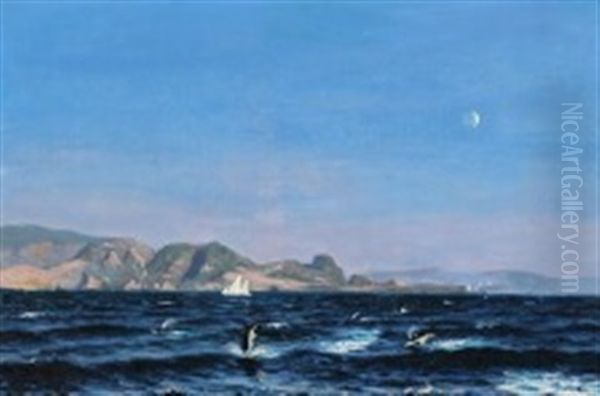 Early Night Scene With A Flock Of Harbour Porpoises Jumping Out Of The Water Oil Painting by Axel Theofilus Helsted