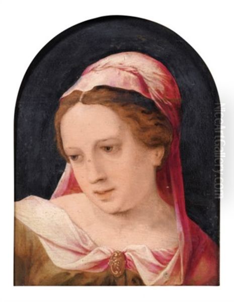 Jeune Femme Portant Un Voile Rose Oil Painting by Jan Sanders (Jan van) Hemessen