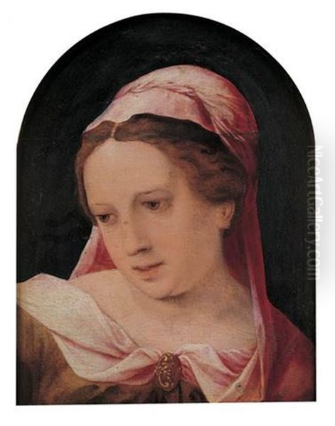 Portrait De Femme Au Voile Rose Oil Painting by Jan Sanders (Jan van) Hemessen