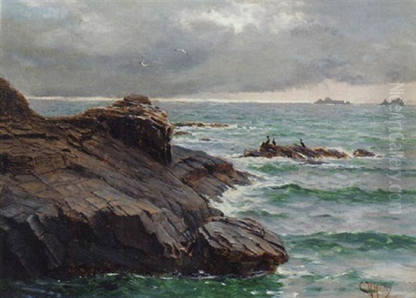 Shags On A Rocky Coastline by Charles Napier Hemy