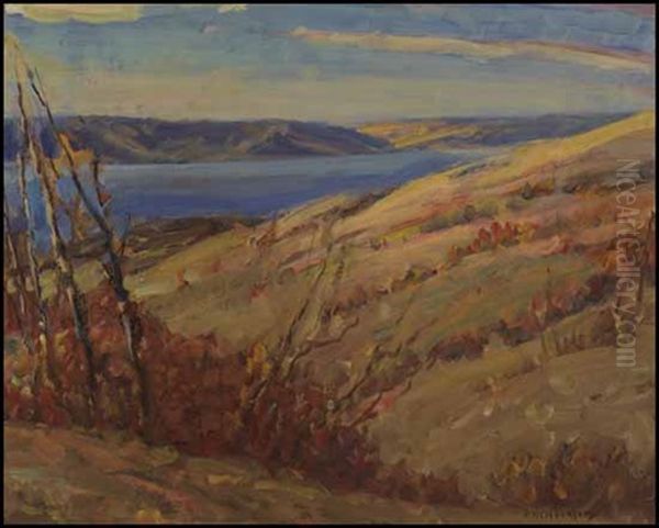 The Qu'appelle Valley Near Katepwa, Sask Oil Painting by James Henderson