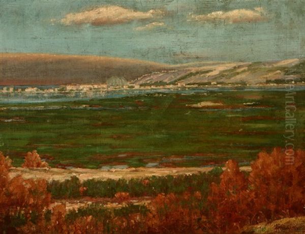 Historic View Of Mission Valley, San Diego Oil Painting by Henry Hengstler