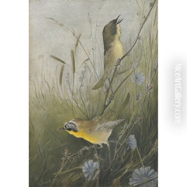 Two Birds Oil Painting by Frank Charles Hennessey