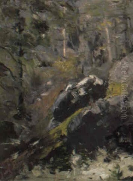 The Grey Woods Oil Painting by Robert Henri