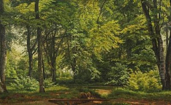 Forest Scenery With A Stream Oil Painting by Carsten Henrichsen