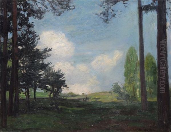 Sonnenbeschienene Landschaft Oil Painting by Hans Rudolf Hentschel