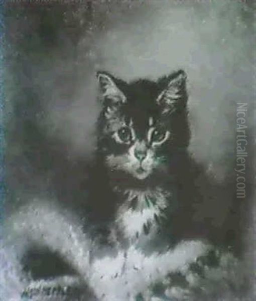 A Portrait Of A Tabby Kitten Oil Painting by Wilson Hepple