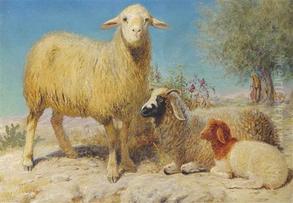 The Desert Flock Oil Painting by John Rogers Herbert