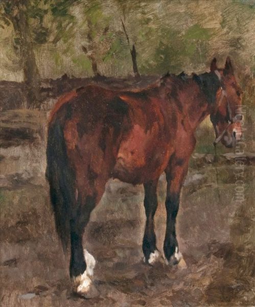 Stehendes Pferd Oil Painting by Thomas Herbst