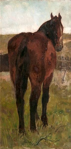 Stehendes Pferd Oil Painting by Thomas Herbst