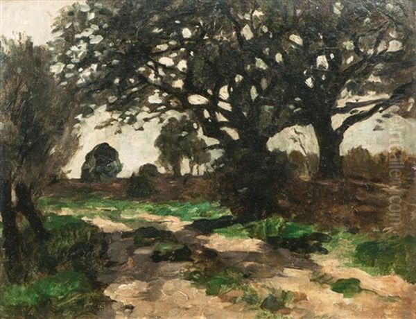 Path Under Trees Oil Painting by Thomas Herbst