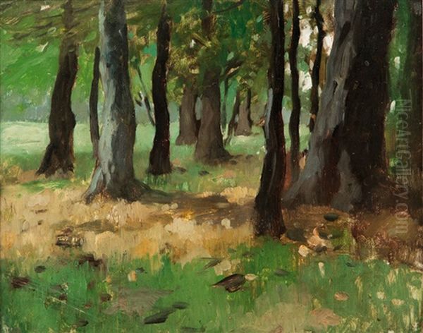 Edge Of The Wood Oil Painting by Thomas Herbst